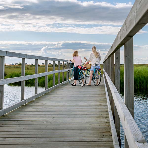 Cykeltur vid strandängar nära Höllviksnäs och Falsterbonäset