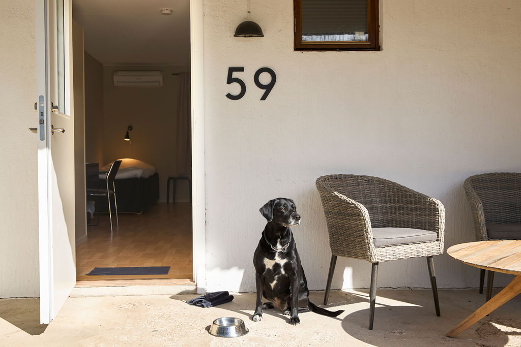 Husdjursvänligt hotellrum på Höllviksnäs med egen uteplats och hund utanför rummet