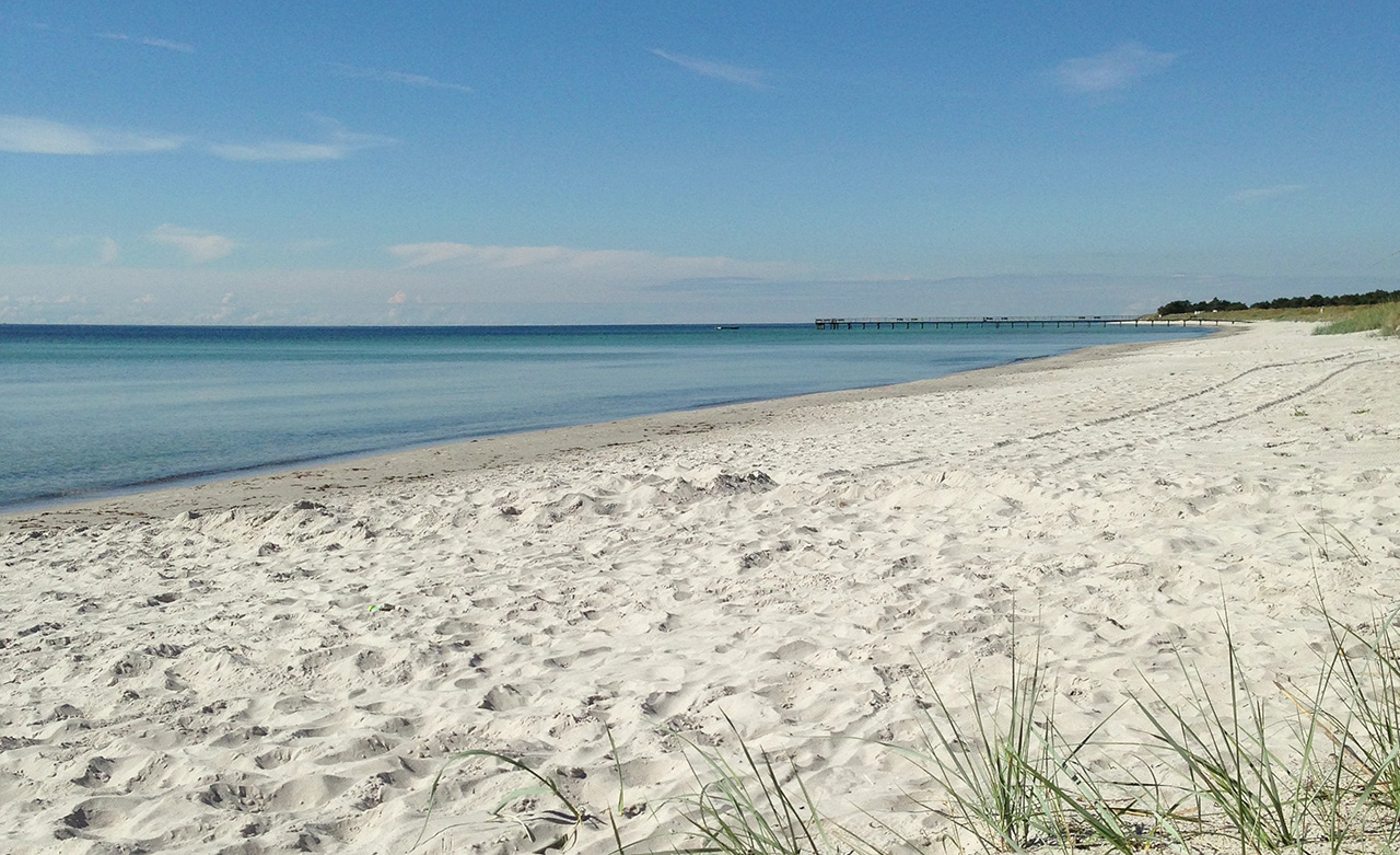 Strand och hav i Höllviken nära Höllviksnäs hotell och konferens